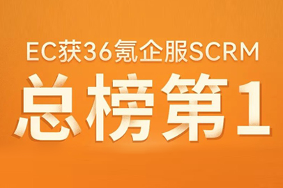 发展动态
